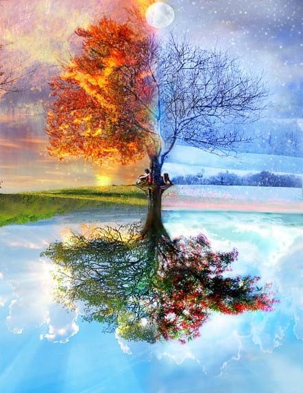 colortree